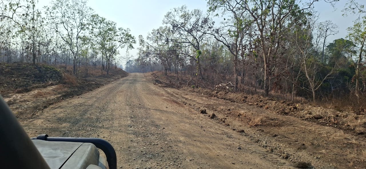 Waima village patrol grading — Compacted running surface through bush