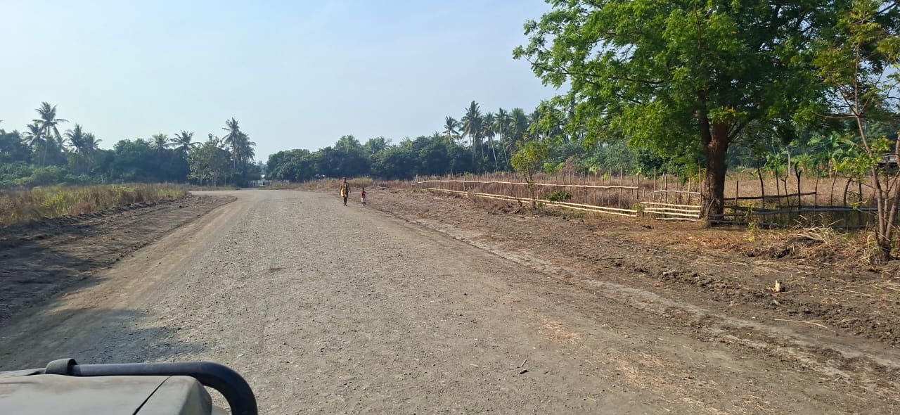 Waima village patrol grading — Widened formation past village gardens