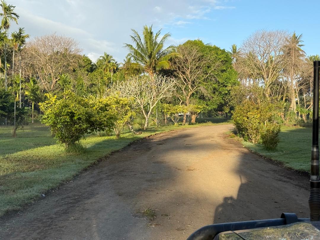 Lalaura Road patrol grading — Smooth graded surface, Abau District