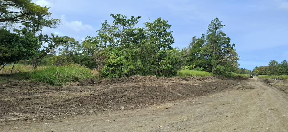 Lalaura Road patrol grading — Shoulder grading & spoil removal
