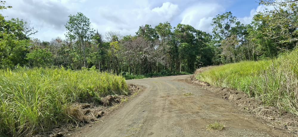 Lalaura Road patrol grading — Roadside clearing & alignment