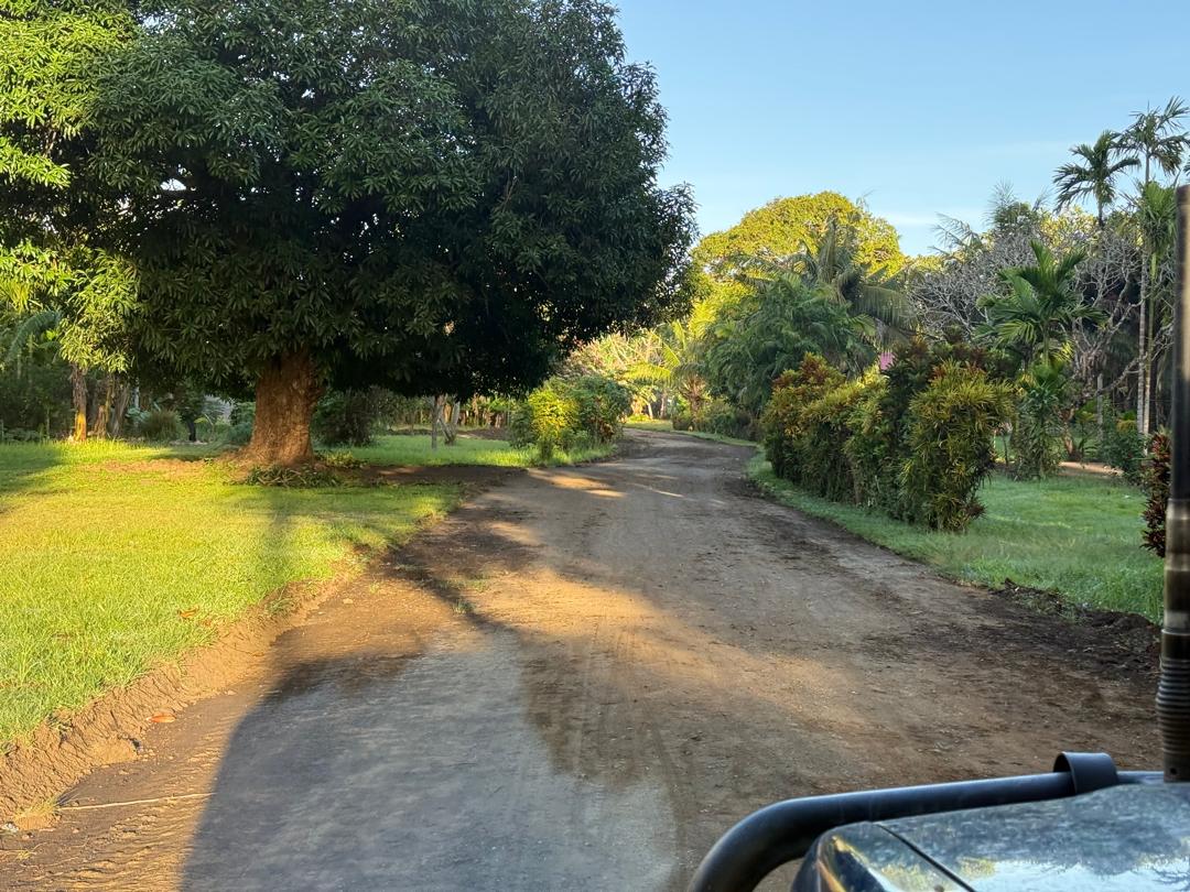 Lalaura Road patrol grading — Widened road through settlement areas