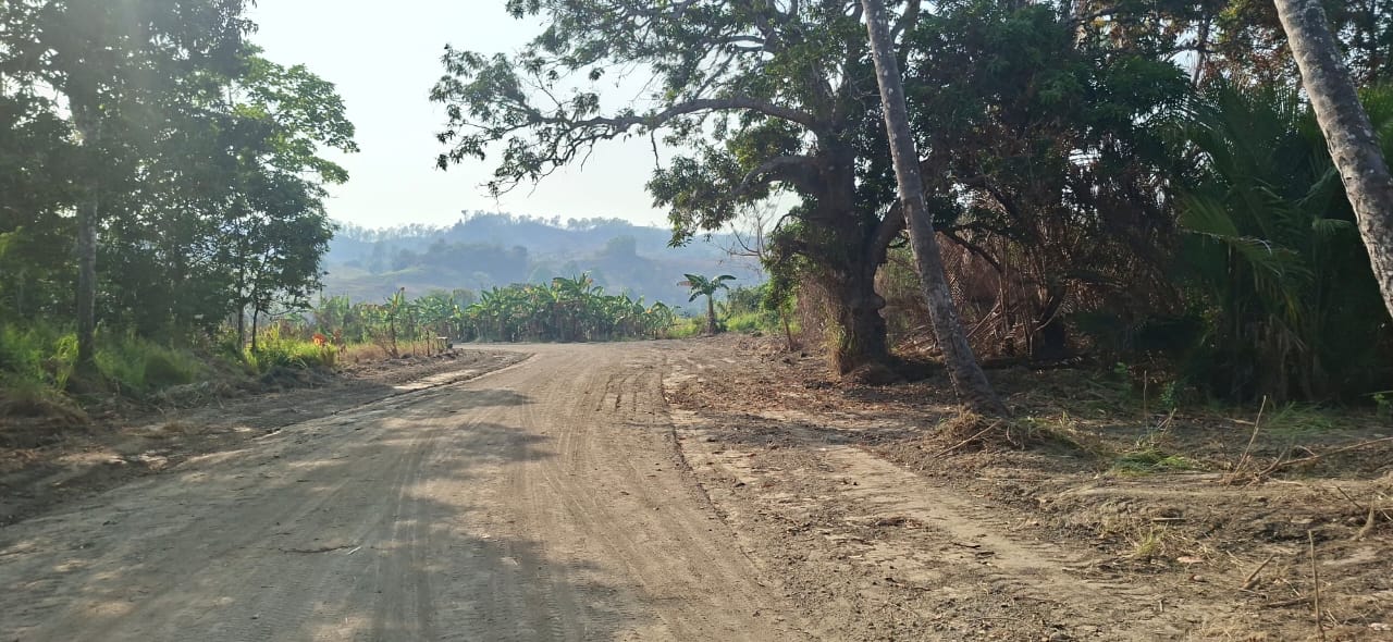 Waima village patrol grading — Cleared and shaped road corridor
