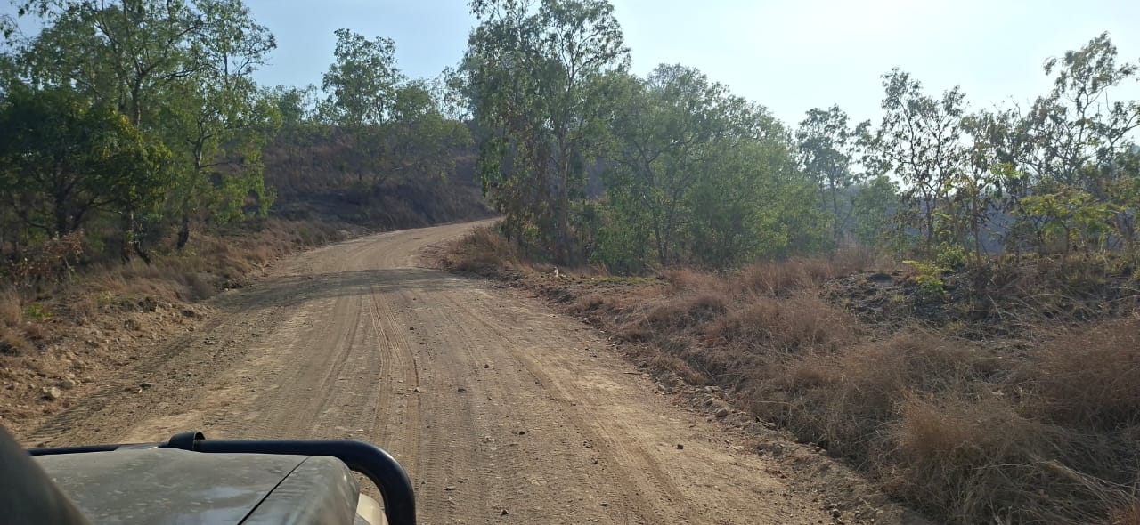 Waima village patrol grading — Graded climb through hill section